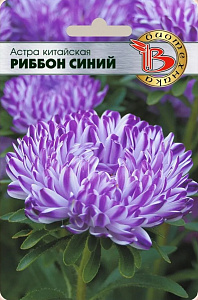 Астра_Риббон Синий (пионовидная)_30_шт._Биотехника