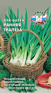 Лук_Ранняя Трапеза (батун многолетний)_1_г._Седек