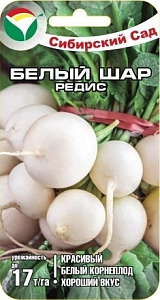 Редис_Белый шар_2_г._Сибирский Сад