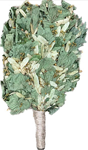 Веник ЛИПОВЫЙ ПРЕМИУМ