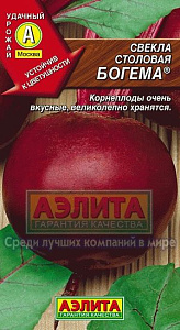 Свекла_Богема_3_г._Аэлита