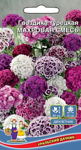 Гвоздика_Турецкая махр см_0,2_г._Уральский Дачник