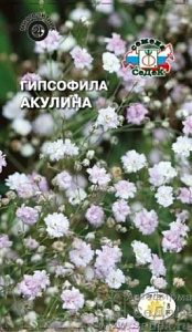 Гипсофила_Розовая Акулина_0,1_г._Седек