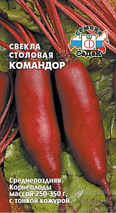 Свекла_Командор_2_г._Седек