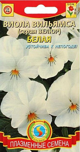 Фиалка_Велюр Белая_0,04_шт._Плазменные семена