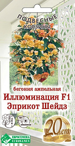 Бегония_Иллюминация Эприкот Шейдз F1 (Подвесные Корзины)_5_шт._ЕВРОСЕМЕНА