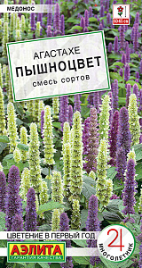 Мята_Пышноцвет (агастахе) см_0,1_г._Аэлита