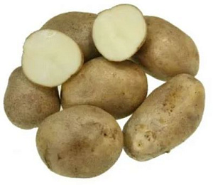 Удача репродукция ( сетка 2кг ) кг