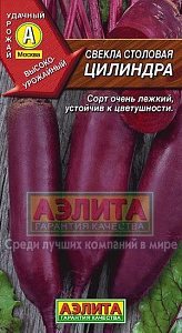 Свекла_Цилиндра_3_г._Аэлита