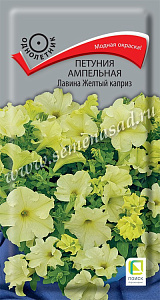 Петуния_Лавина F1 Жёлтый Каприз (амп)_10_шт._Поиск