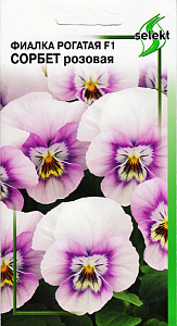 Фиалка_Сорбет Розовая (рогатая)_7_шт._Дом Семян С-П