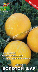 Дыня_Золотой Шар_15_шт._Поиск