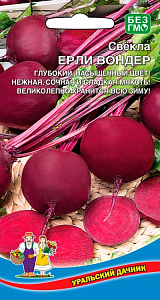 Свекла_Ерли Вондер_2_г._Уральский Дачник