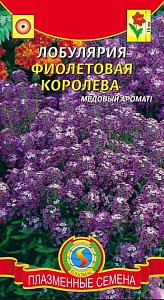 Алиссум (лобулярия)_Фиолетовая королева_0,04_г._Плазменные семена