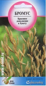 Бромус (кострец)_Мираж (злак)_40_шт._Дом Семян С-П