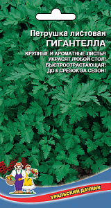 Петрушка_Гигантелла (листовая)_2_г._Уральский Дачник