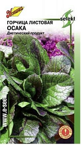 Горчица_Осака_160_шт._Дом Семян С-П