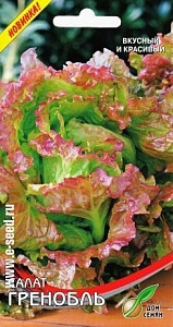 Салат_Гренобль (кочан)_400_шт._Дом Семян С-П