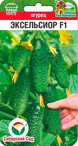 Огурец_Эксельсиор F1 (Голландия)_0,04_шт._Сибирский Сад