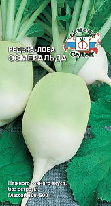 Редька_Лоба Эсмеральда_1_г._Седек