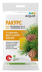 Ракурс 4мл N200