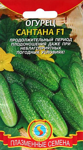 Огурец_Сантана F1_0,04_шт._Плазменные семена
