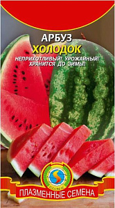 Арбуз_Холодок_0,04_г._Плазменные семена