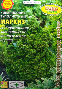 Кипарисовик_Маркиз б/ф_0,1_г._Аэлита Э