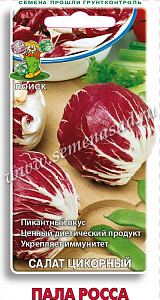 Салат_Пала Росса (цикорный, кочанный)_0,2_г._Поиск