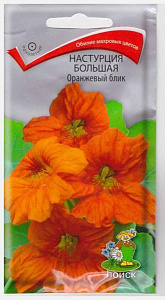 Настурция_Оранжевый блик_1_г._Поиск