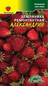 Земляника_Александрия_0_г._Цветущий Сад