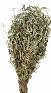 Трава-запарник МЯТА БЕЛАЯ XXL