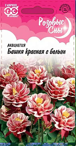Аквилегия (водосбор)_Башня Красная с Белым (Розовые сны)_0,1_г._Гавриш