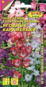 Пенстемон_Ягодные Карамельки см_0_г._Аэлита Э