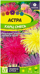 Астра_Харц см (игольчатая)_0,3_г._Поиск