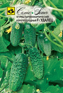 Огурец_Домашний Удалец F1_0,04_шт._Семко
