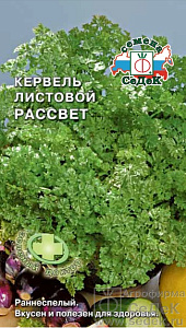 Кервель (антрискус)_Рассвет_0,5_г._Седек