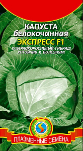 Капуста_б/к_Экспресс F1 (у/ск)_0,04_г._Плазменные семена