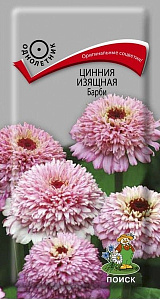 Цинния_Барби_10_шт._Поиск