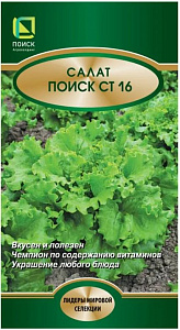 Салат_Поиск СТ16_1_г._Поиск