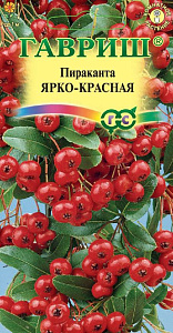 Пираканта_Ярко-красная_5_шт._Гавриш