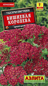 Ахиллея (тысячелистник)_Вишневая королева_0,1_г._Аэлита