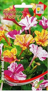 Мирабилис_Эльвира см_7_шт._Дом Семян С-П
