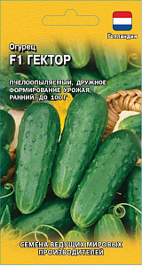 Огурец_Гектор F1_10_шт._Гавриш
