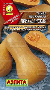 Тыква_Прикубанская (мускатная)_2_г._Аэлита