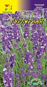Лаванда_Пурпурная_0,04_шт._Цветущий Сад