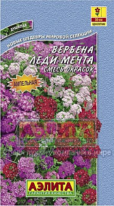 Вербена_Леди мечта см_30_шт._Аэлита